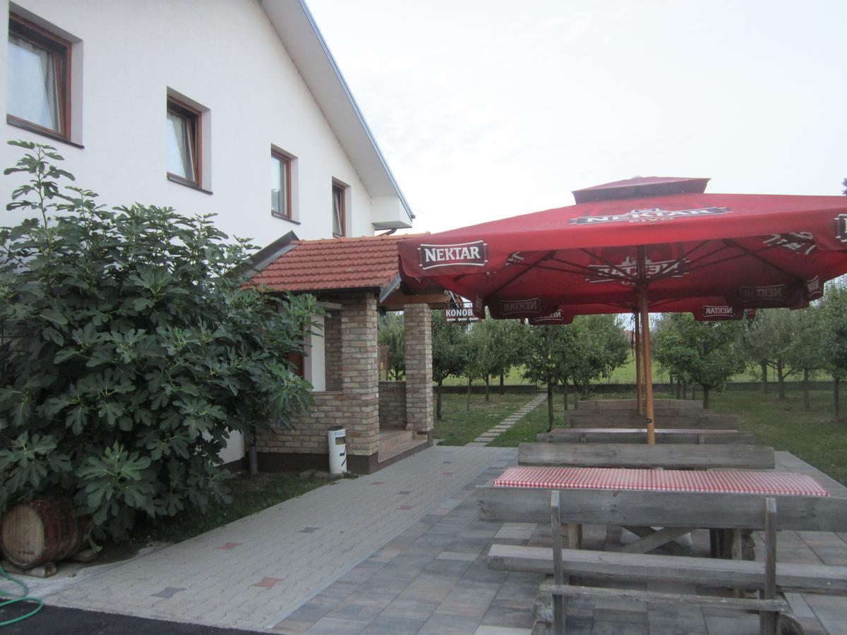 Pansion Laktaši Hostel Bagian luar foto