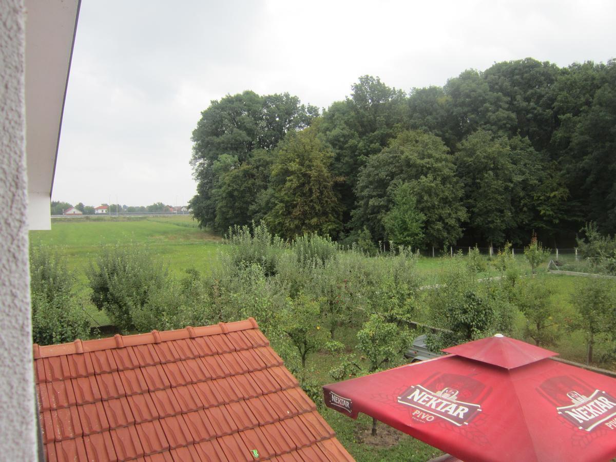 Pansion Laktaši Hostel Bagian luar foto